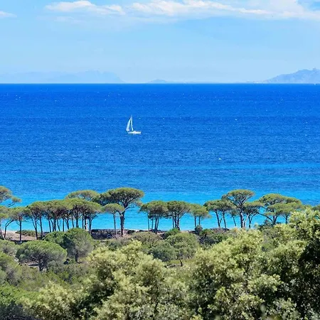 Les Bergeries De Palombaggia 포르토베쉬오