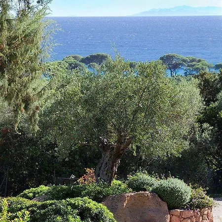 호텔 Les Bergeries De Palombaggia 포르토베쉬오