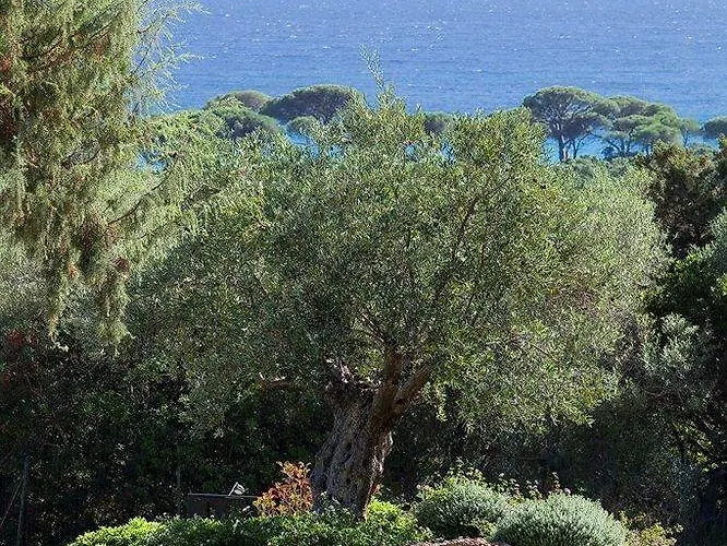 호텔 Les Bergeries De Palombaggia 포르토베쉬오